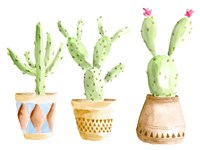 Patterned Pots I Fine Art Print