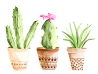 Patterned Pots II Fine Art Print