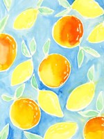 Summer Citrus II Fine Art Print