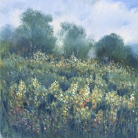 Meadow Wildflowers I Fine Art Print
