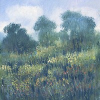 Meadow Wildflowers II Fine Art Print