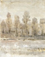 Peaceful Forest I Framed Print