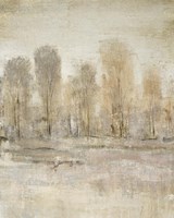 Peaceful Forest II Framed Print