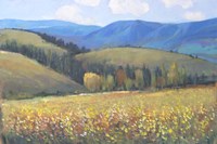 Mountain Pass I Fine Art Print