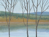 Between Water III Framed Print