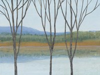 Between Water IV Framed Print