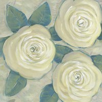 Roses in Bloom II Fine Art Print
