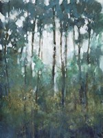 Glow in the Forest II Framed Print