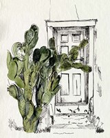 Cactus Door I Framed Print