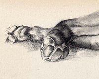Charcoal Paws I Fine Art Print