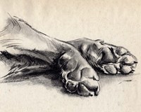 Charcoal Paws II Fine Art Print