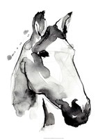 White Stallion I Fine Art Print