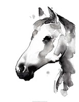 White Stallion II Fine Art Print