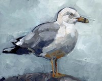 Seagull Stance I Framed Print
