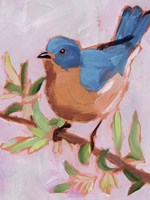 Painted Songbird I Framed Print