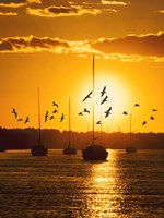 Water & Land II Fine Art Print