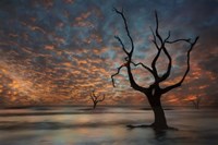 Water & Land V Fine Art Print