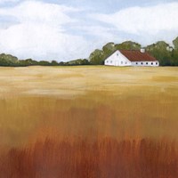 Prairie Premise II Fine Art Print