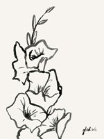 Gladiola Sketch III Fine Art Print