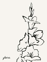 Gladiola Sketch IV Fine Art Print