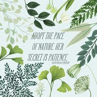 Natural Bliss II Framed Print