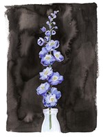 Blue Delphinium I Fine Art Print