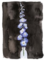 Blue Delphinium II Fine Art Print