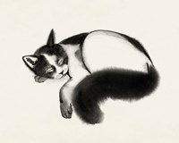 Cat Laze I Fine Art Print