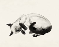 Cat Laze III Fine Art Print