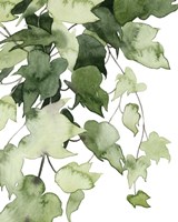 Emerald Vines I Fine Art Print