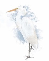 Coastal Heron I Fine Art Print