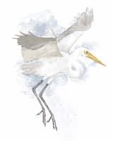 Coastal Heron II Fine Art Print
