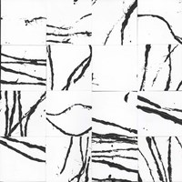 Sonic Illusion I Fine Art Print