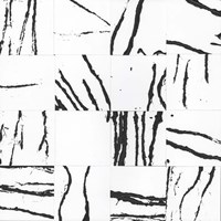 Sonic Illusion II Fine Art Print