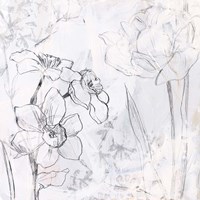 Contour Garden Fresco I Framed Print