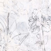 Contour Garden Fresco II Framed Print