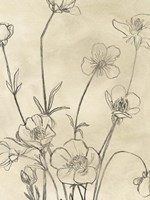 Vintage Wildflowers I Framed Print