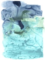 Water Weaver I Fine Art Print