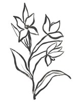 Jonquil Gesture I Framed Print