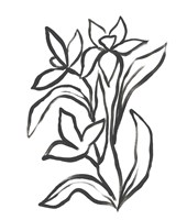 Jonquil Gesture II Framed Print