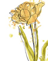 Spring Contours I Framed Print