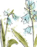 Spring Contours IV Fine Art Print