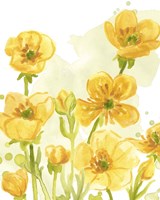 Sunshine Meadow I Fine Art Print