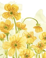 Sunshine Meadow III Fine Art Print