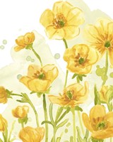 Sunshine Meadow IV Fine Art Print