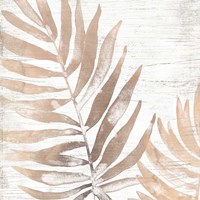 Neutral Palm Fossil II Framed Print