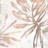 Neutral Palm Fossil VI Framed Print