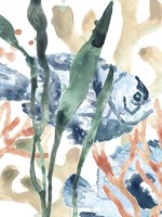 In the Kelp I Fine Art Print