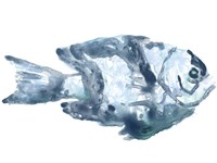 Blue Ocean Fish III Framed Print