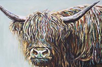 Woolly Highland I Fine Art Print